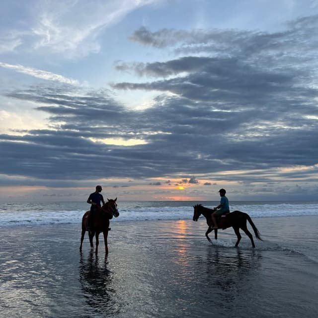 Explore Bali with Sulaimanplus X Nomads