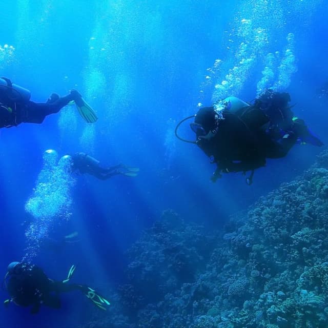 Dive in Jeddah With Experts