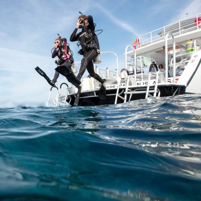 Dive in Jeddah With Experts