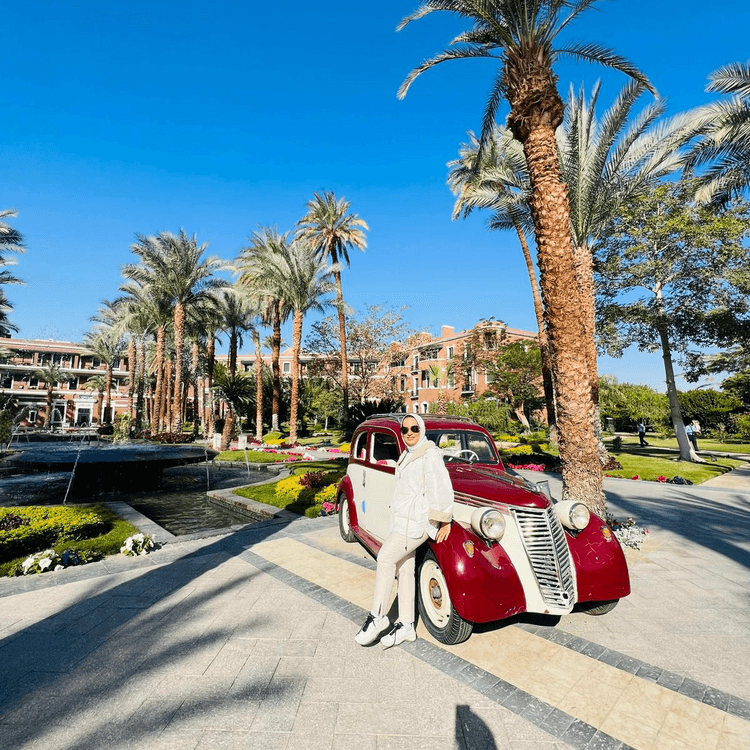 VIP Nile Cruise Luxor & Aswan 