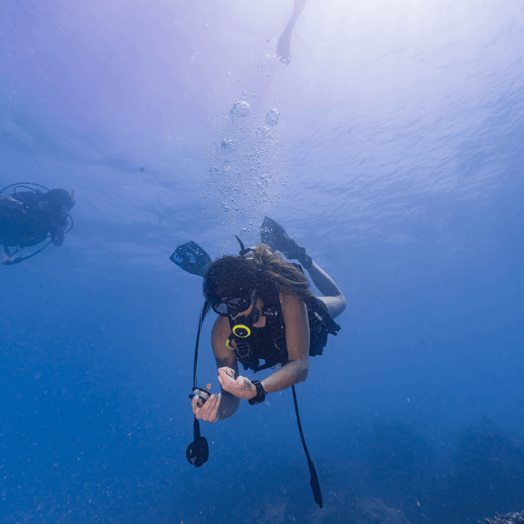 Discover Scuba Diving