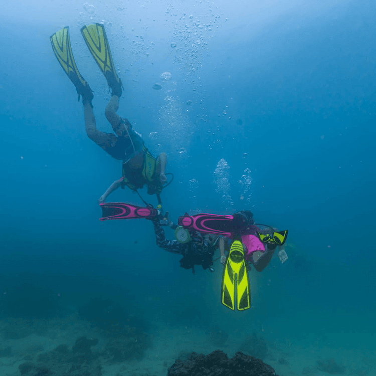 Discover Scuba Diving