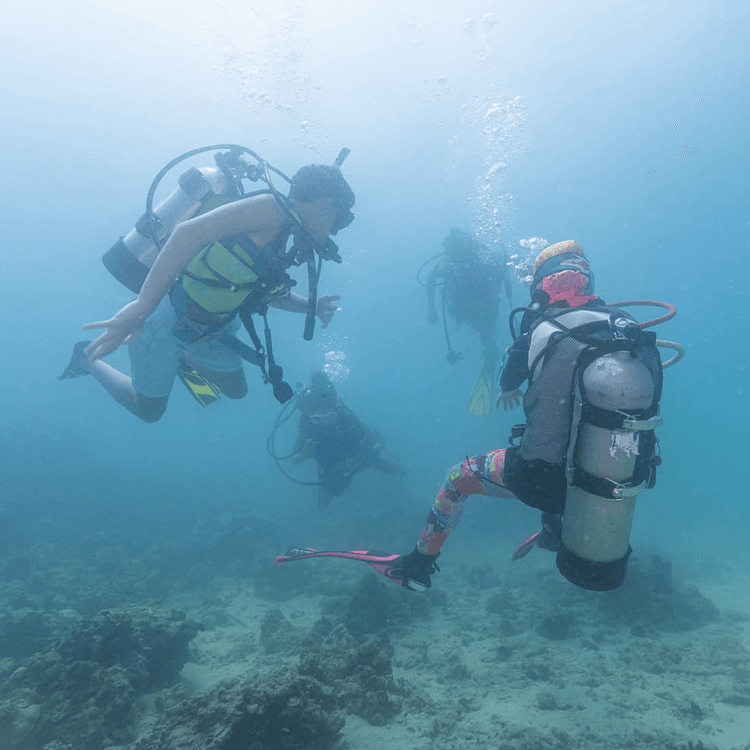 Discover Scuba Diving