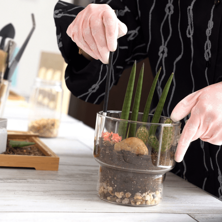 DIY Terrarium Workshop