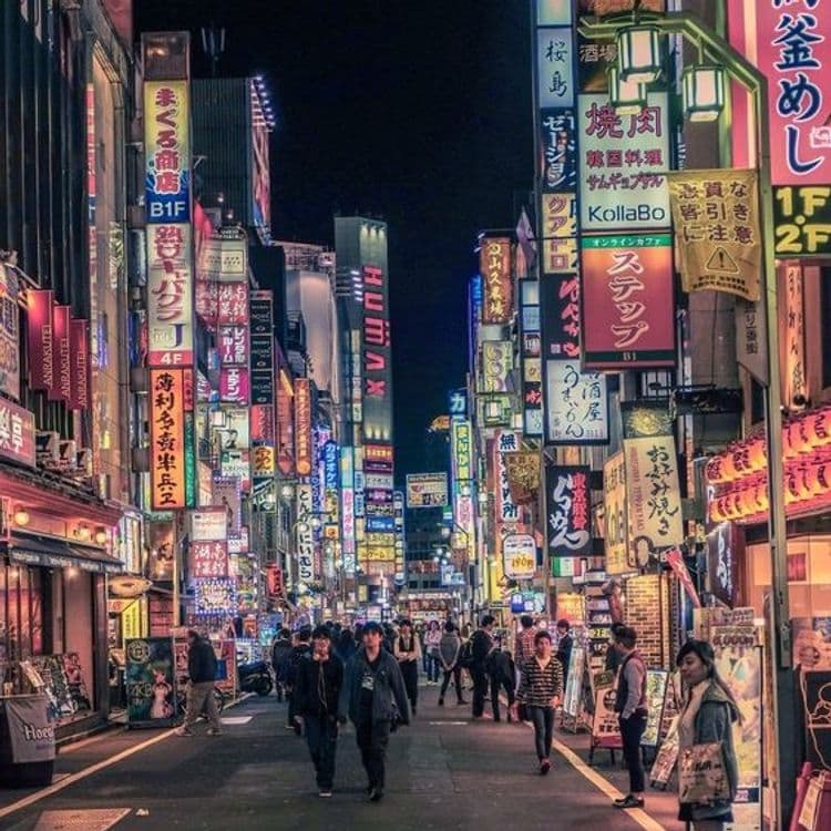 Japan Private Trip (Tokyo & Kyoto)