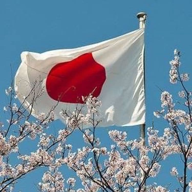 Japan Private Trip (Tokyo & Kyoto)