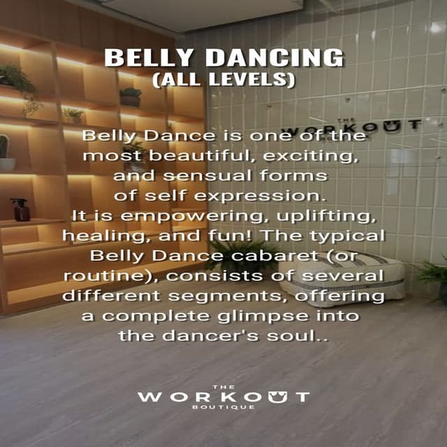 The Workout Boutique Fitness Classes