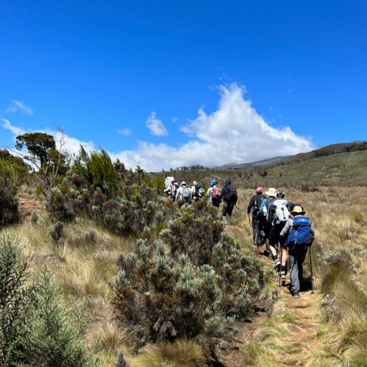 Kilimanjaro Hiking Trip with Omar Buti	