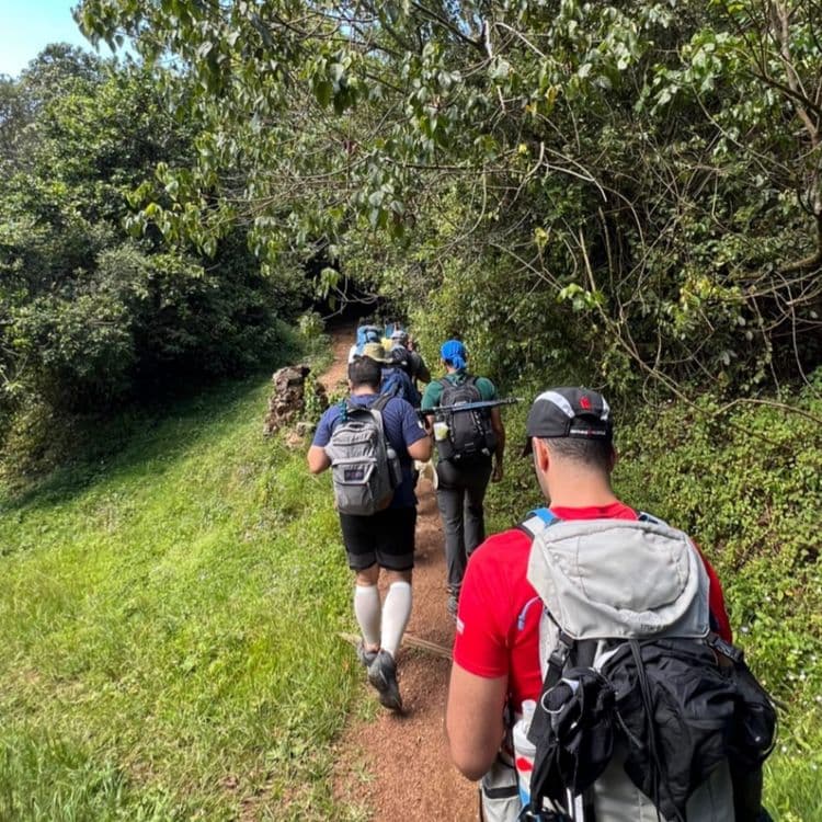 Kilimanjaro Hiking Trip with Omar Buti	