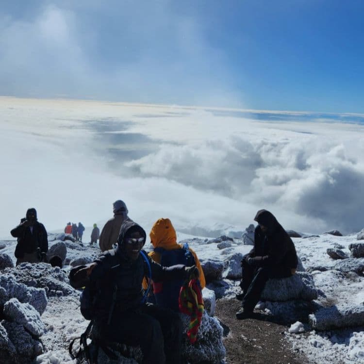 Kilimanjaro Hiking Trip with Omar Buti	