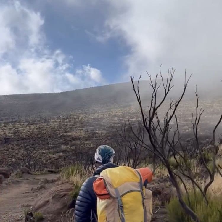 Kilimanjaro Hiking Trip with Omar Buti	