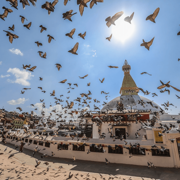 Explore Nepal With Areej