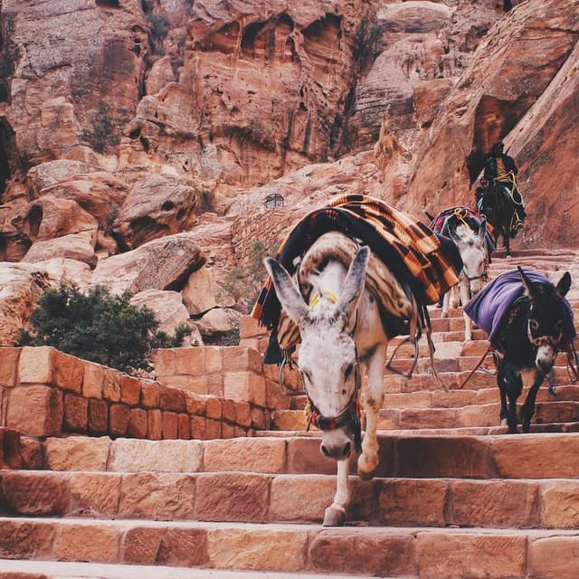 Explore Jordan With Abdulla 