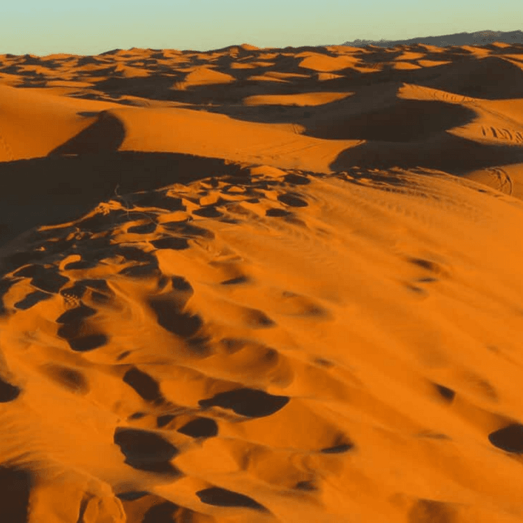 Explore Morocco! Private Trip