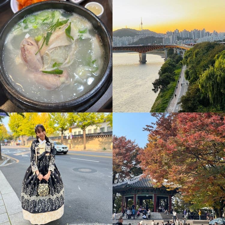 Explore South Korea and Japan With Hanan