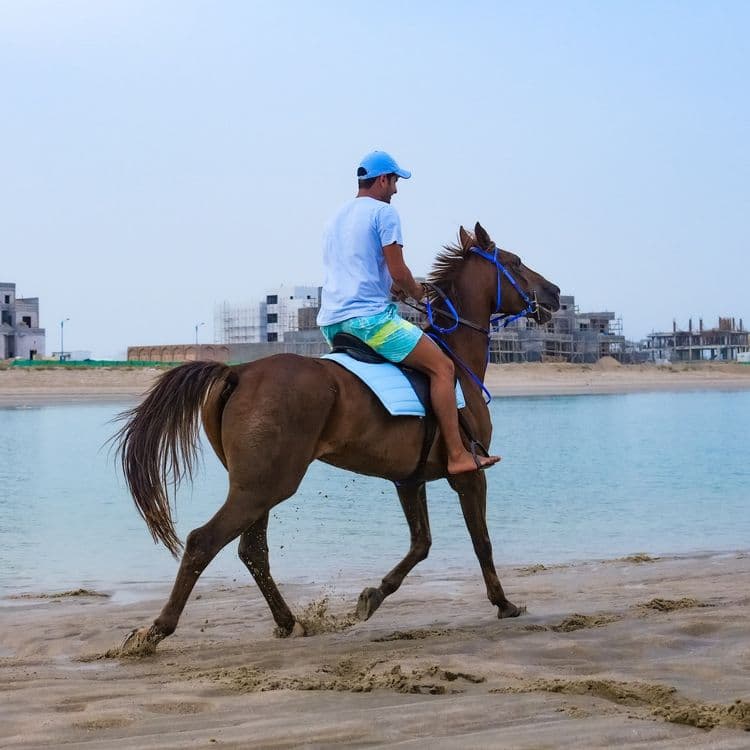 Beach Horse Riding Adventure