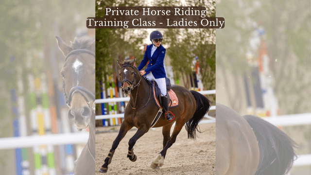 Private Horse Riding Training Class - Ladies Only
