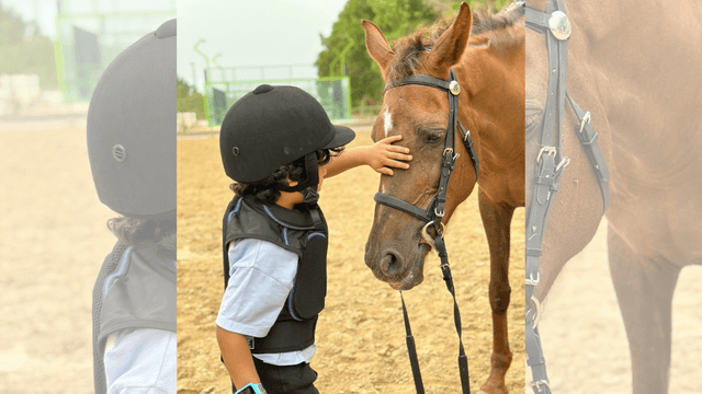 Equestrian Tour