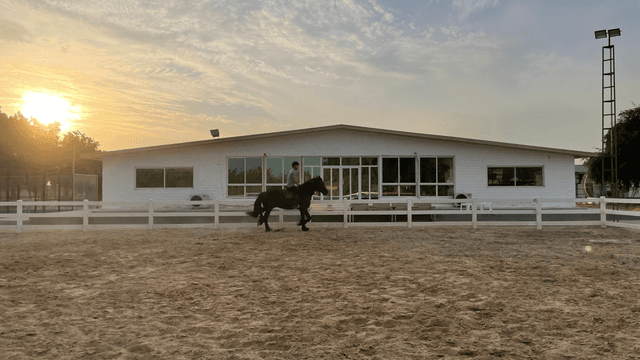 Equestrian Tour