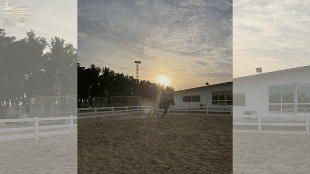 Private Horse Riding Training Class - Ladies Only