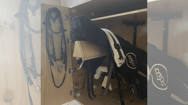 Private Horse Riding Training Class - Ladies Only