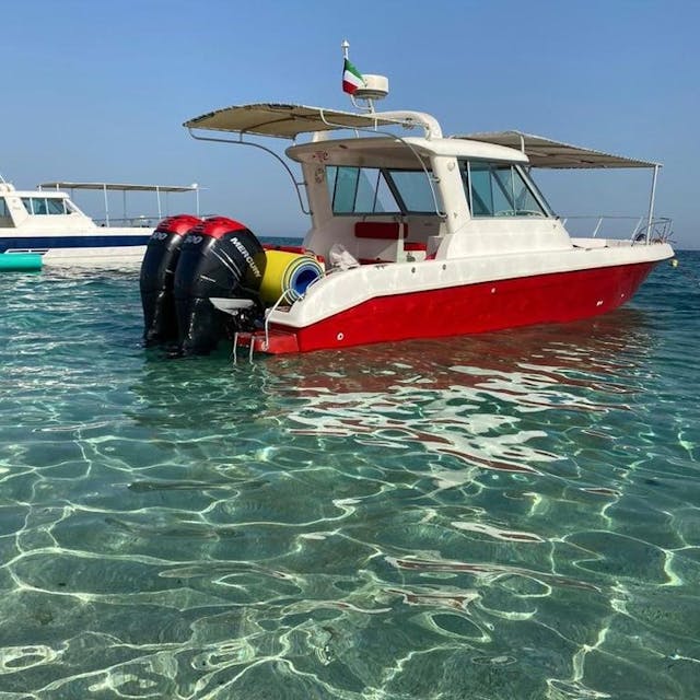 Private Boat Trip to Kuwaiti Island
