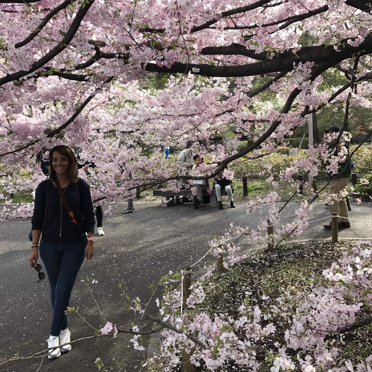 Explore Japan with @hello965 (Mixed Trip)
