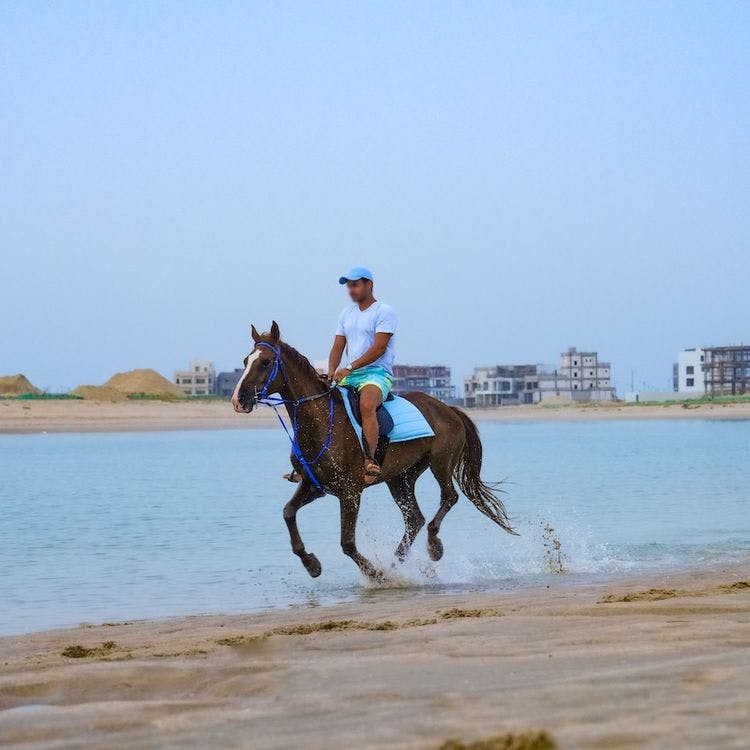 Beach Horse Riding Adventure