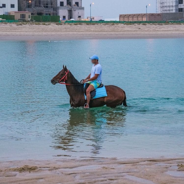 Beach Horse Riding Adventure