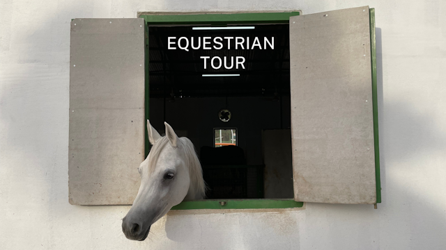 Equestrian Tour