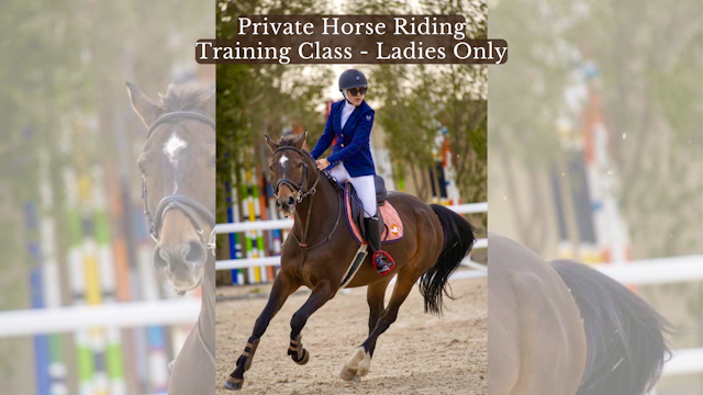 Private Horse Riding Training Class - Ladies Only
